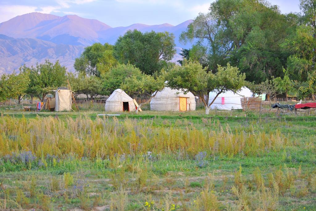 Jurten Camp Almaluu Tong Exterior photo